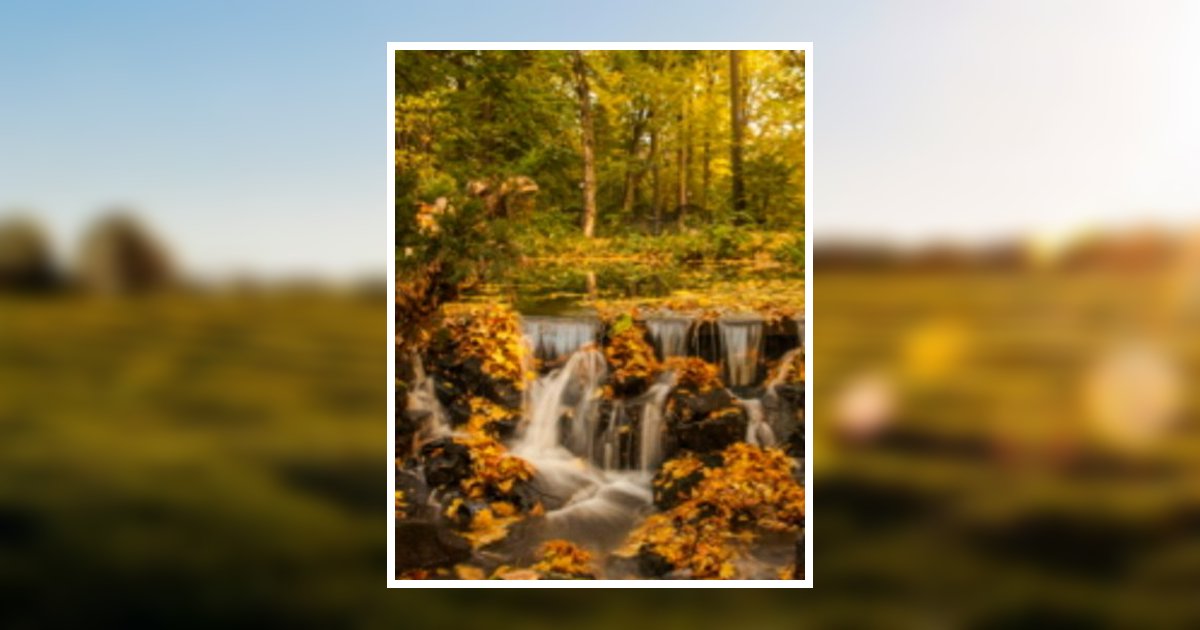 David Lynn Rakestraw Obituary 2021 Companion Funeral & Cremation Service