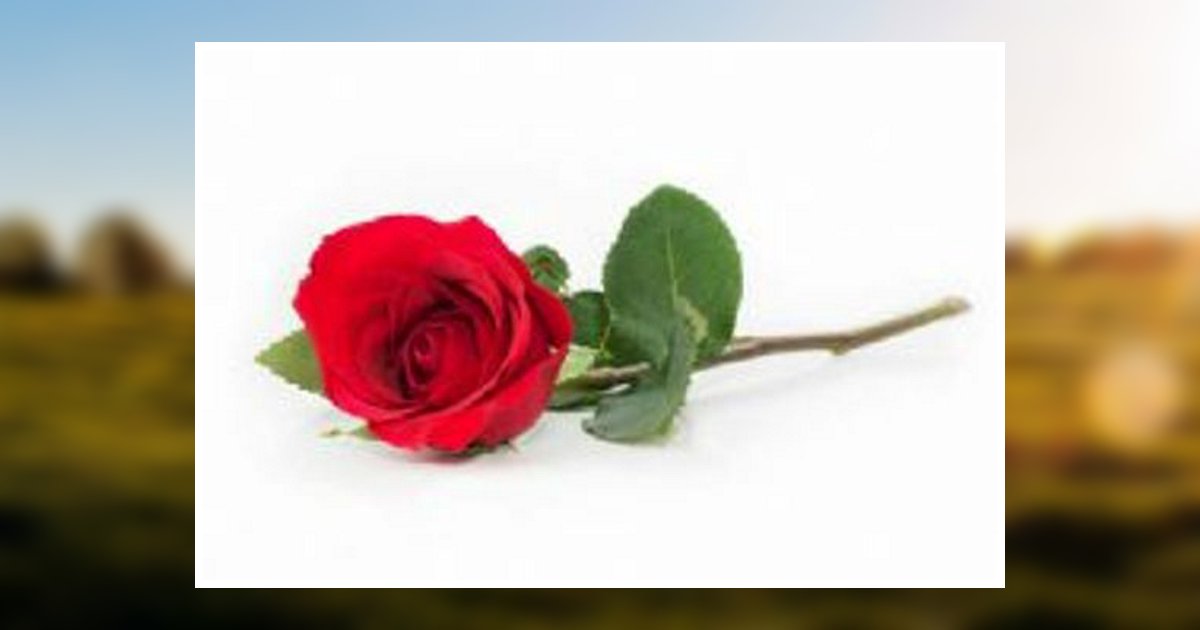 Mary Clouse Obituary 2019 Pecos Funeral Home