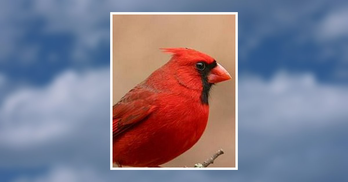 Delores C Ferris Toledo, OH Obituary