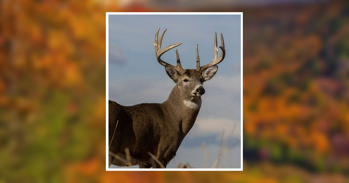 Robert Dale Fritts Obituary, Lexington, NC