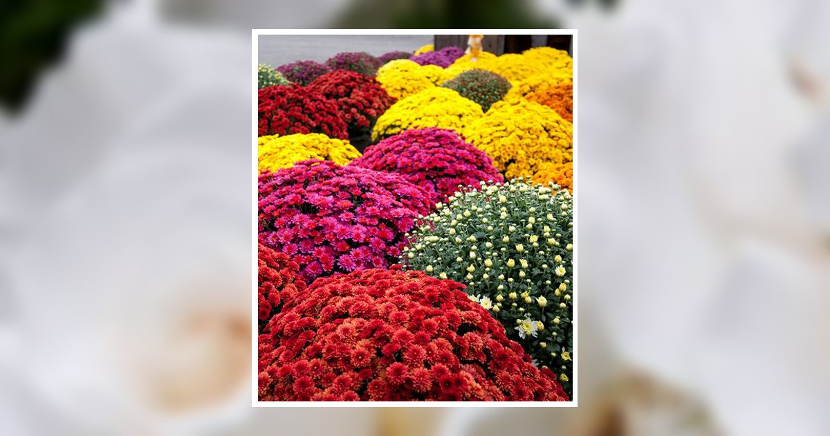 Bobbie Lynne Sparks Obituary, Nicholasville, KY