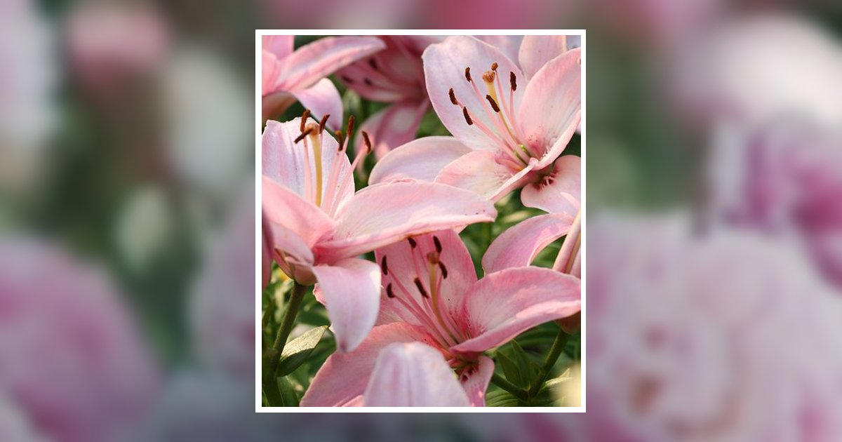 Mary Virgina Anesi Obituary, Kirksville, MO