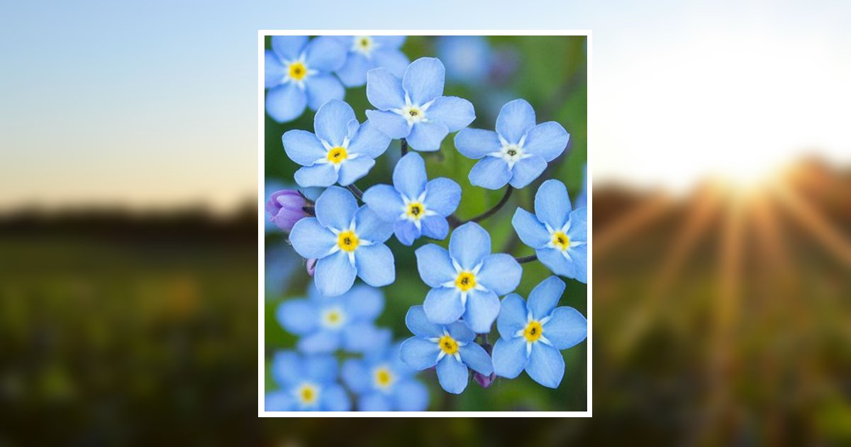 Elizabeth Ann "Libby" Kamp Obituary, Terre Hill, PA