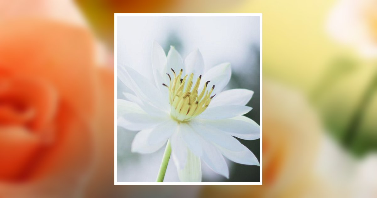 Effilee McHargue Obituary 2024 VankirkGrisell Funeral Home