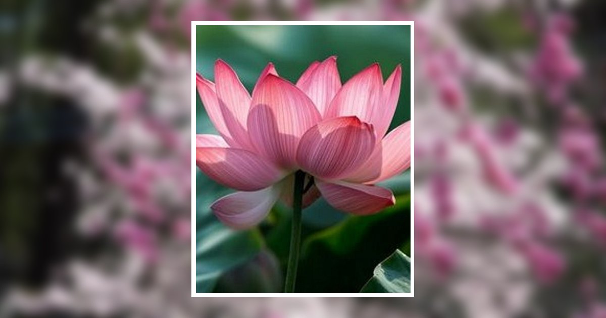 Jean Elizabeth Booth