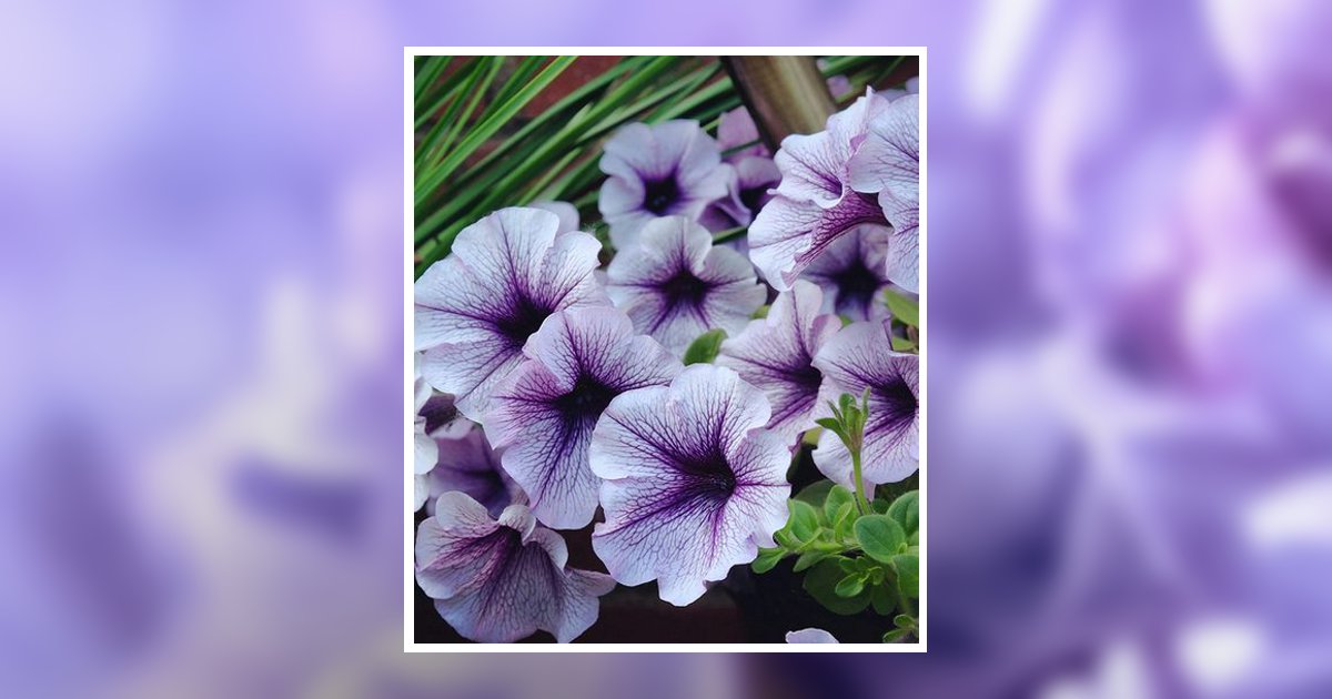 Freda Jo Morgan Obituary, La Grange, TX
