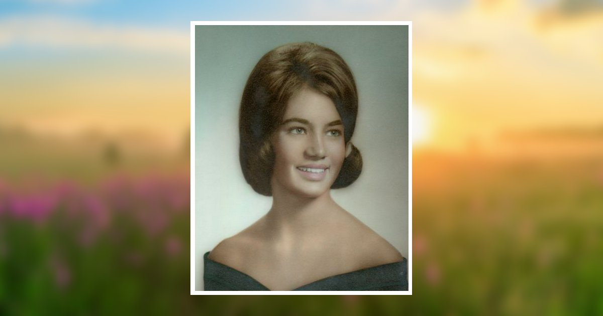 Pamela Perkinson Johnson Obituary, Christiansburg, VA