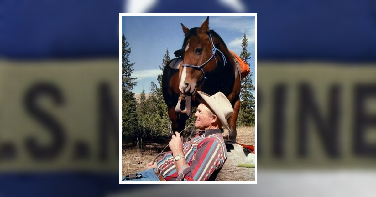 Larry "The Buggy Man" Eugene Grover Obituary, Idaho Falls, ID