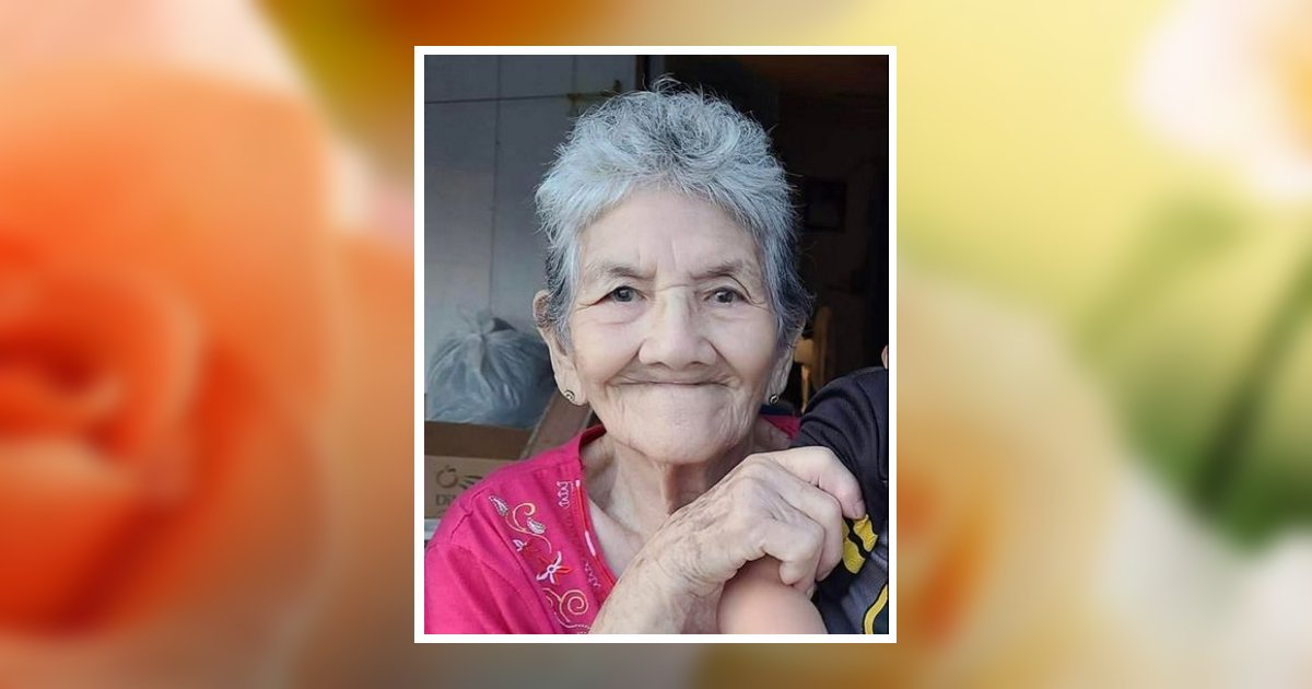 Andrea Fernandez Solis Obituary, Edinburg, TX