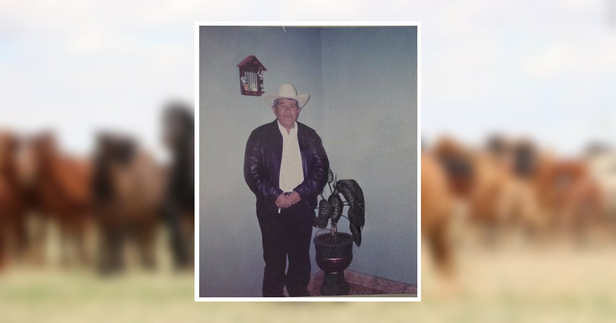Pablo Treto De La Torre Obituary, Denver, CO