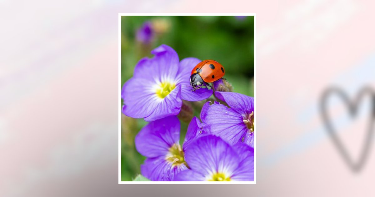 Laniyah Janice Lane Toledo, OH Obituary