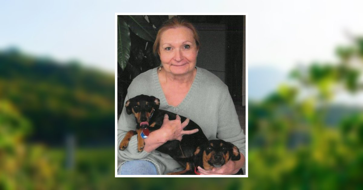 Beverly Ann Mcdonald Obituary, Seymour, MO