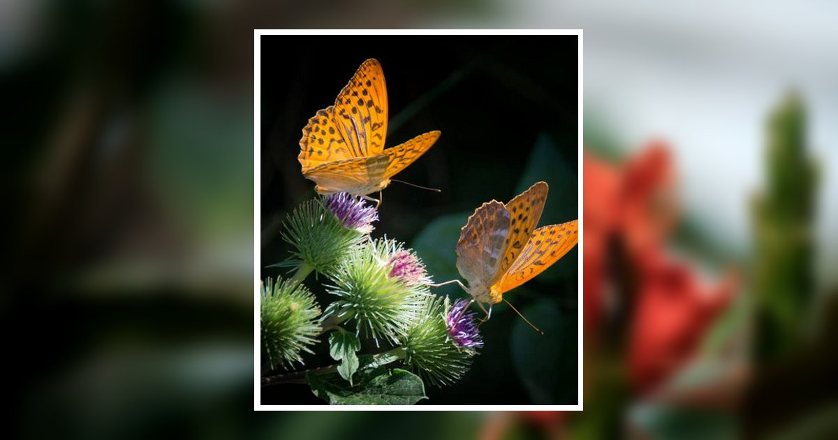 Elizabeth A. Kuhl Levittown, PA Obituary