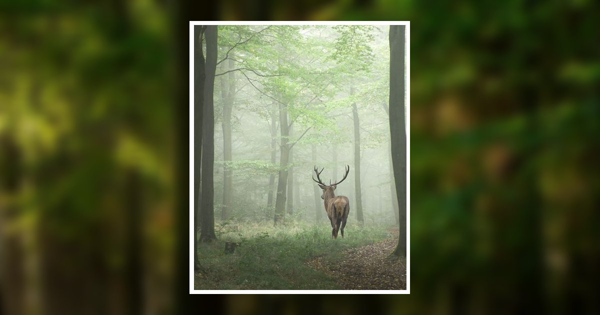 Channing L. Smith Obituary, Parkersburg, WV
