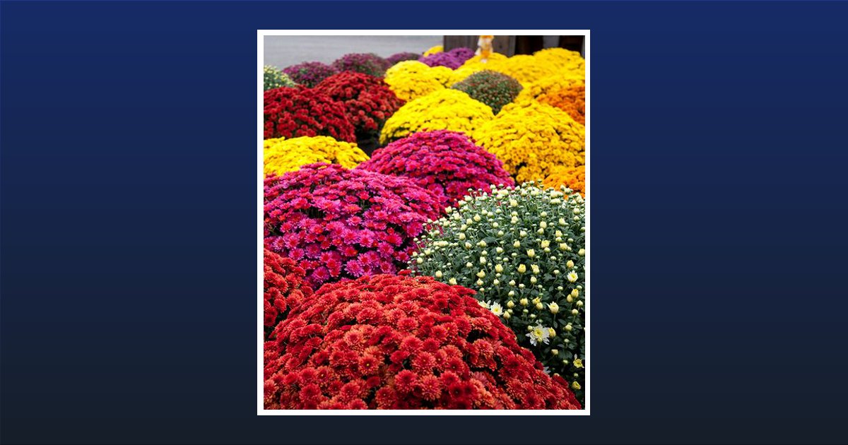 Picture Kerry Hertzog Mccarthy Allentown, PA Obituary