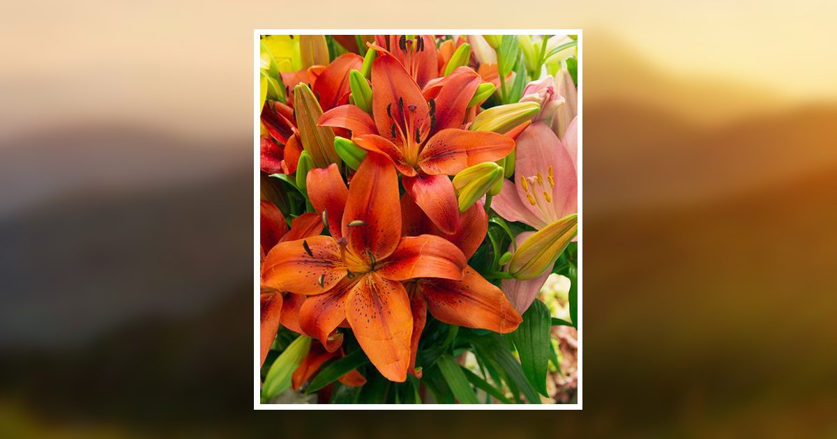 John H. Hollinger Obituary, New Holland, PA