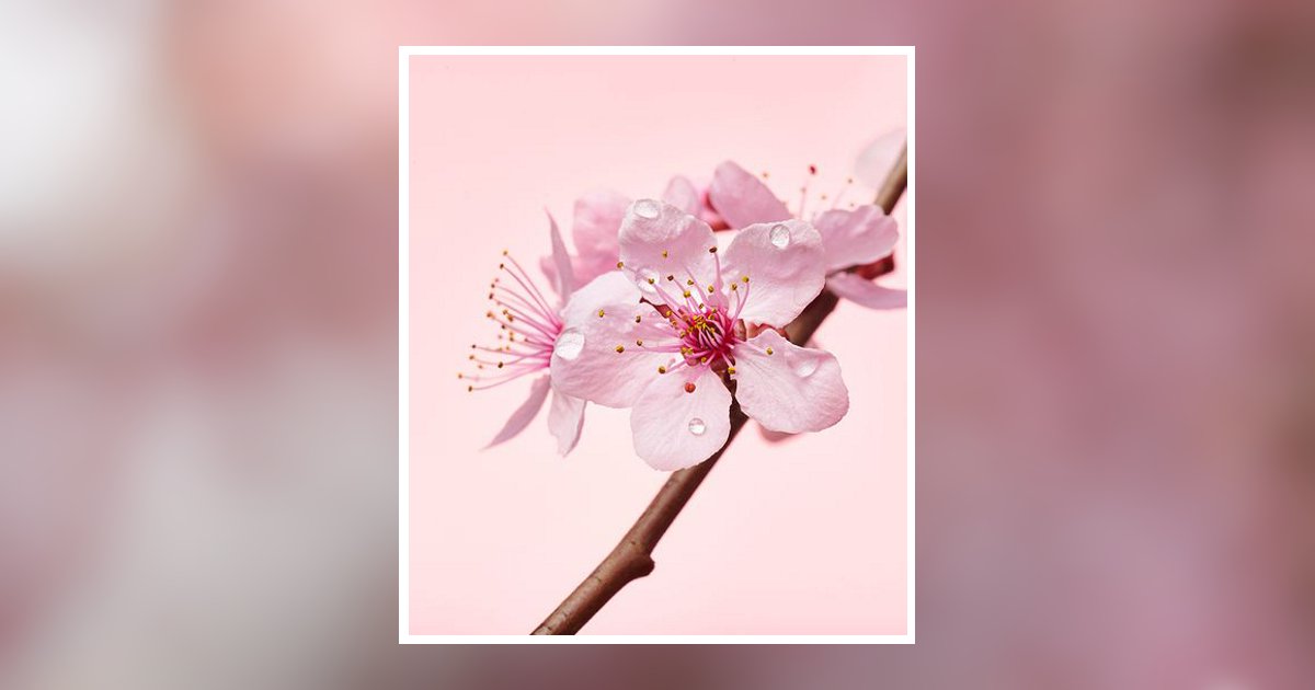 Wendy Johnson Obituary, Barrington, IL