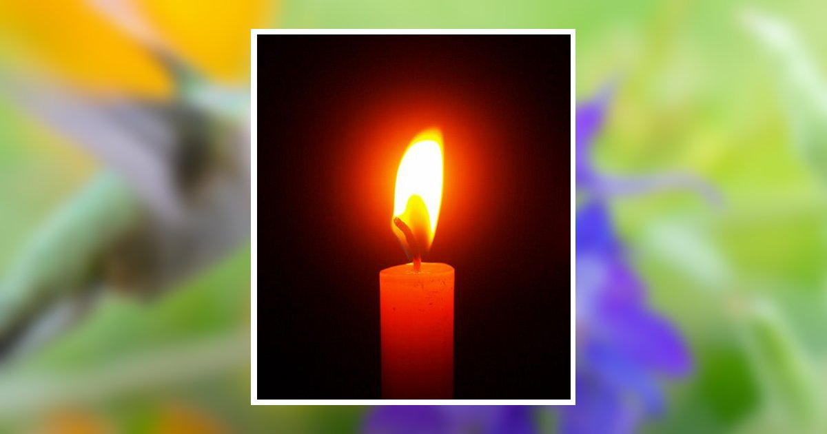 Mary Rose Meyer Obituary, Royalton, MN