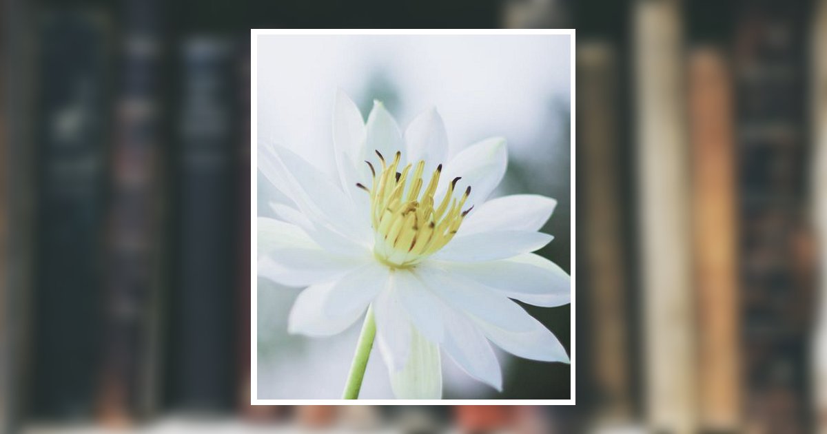 Portrait of Priscilla "Ann" Ann Leo