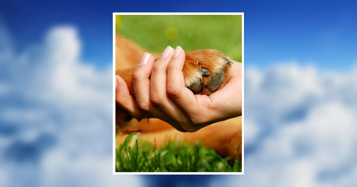 Sara Lynn Thornton Paris, TN Obituary