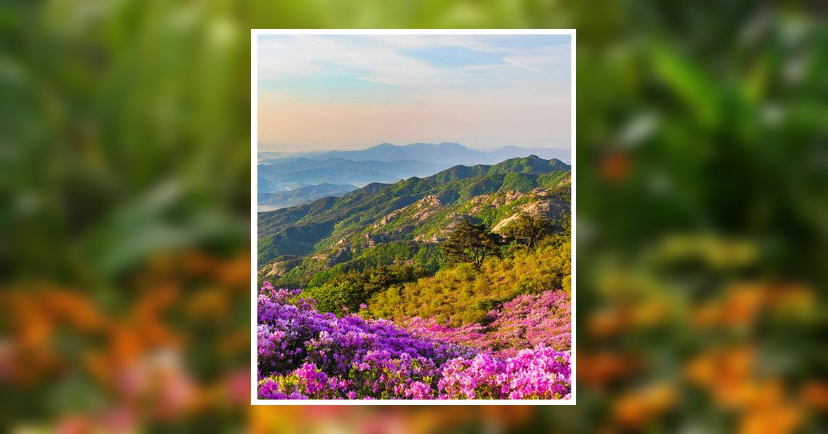 Minnie Pearl Walker Martin