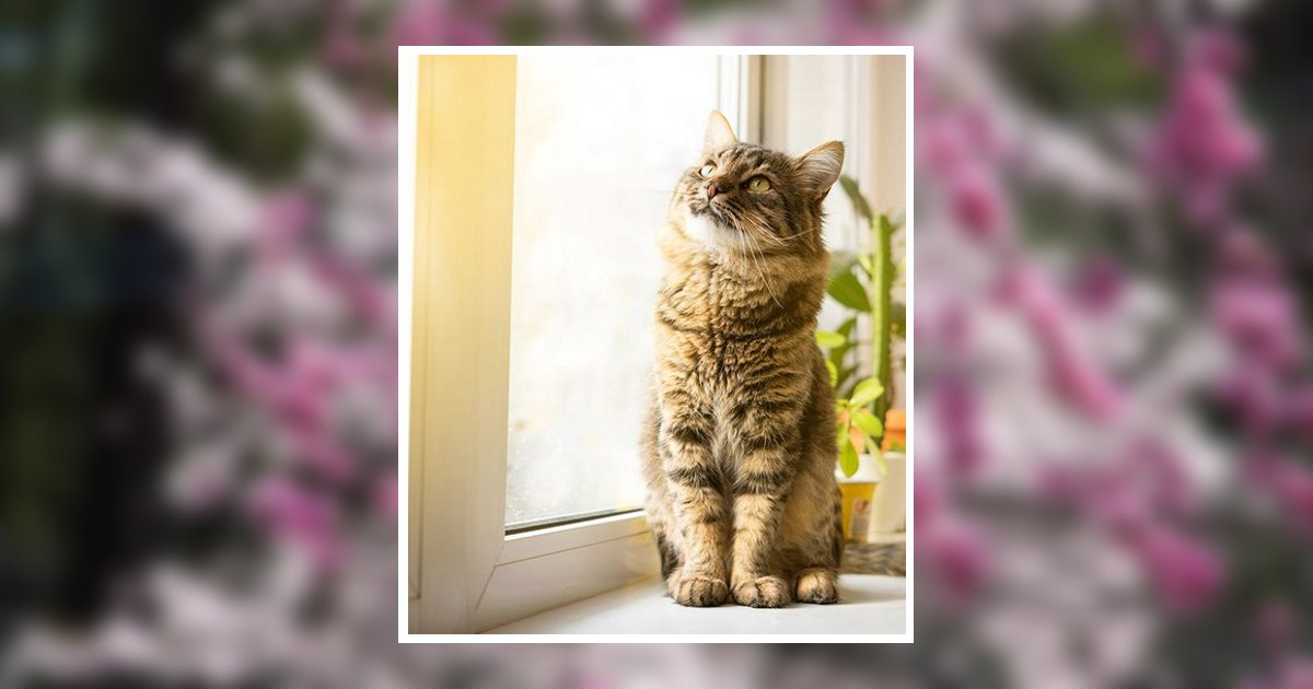 Portrait of Patsy R. Jordan