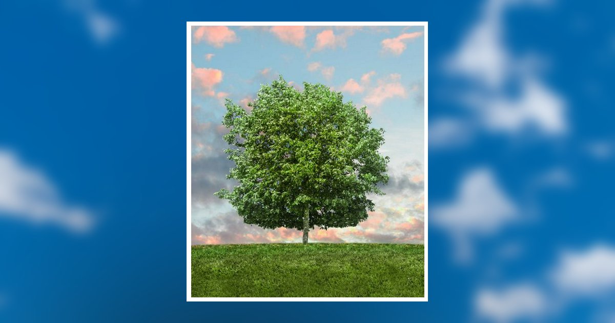 Sr. John J. Wilber Obituary, Shinglehouse, PA