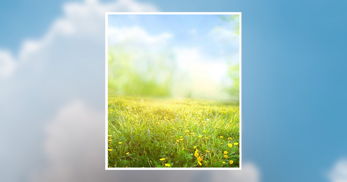 Ryan Franklin Deming Obituary, Springville, UT