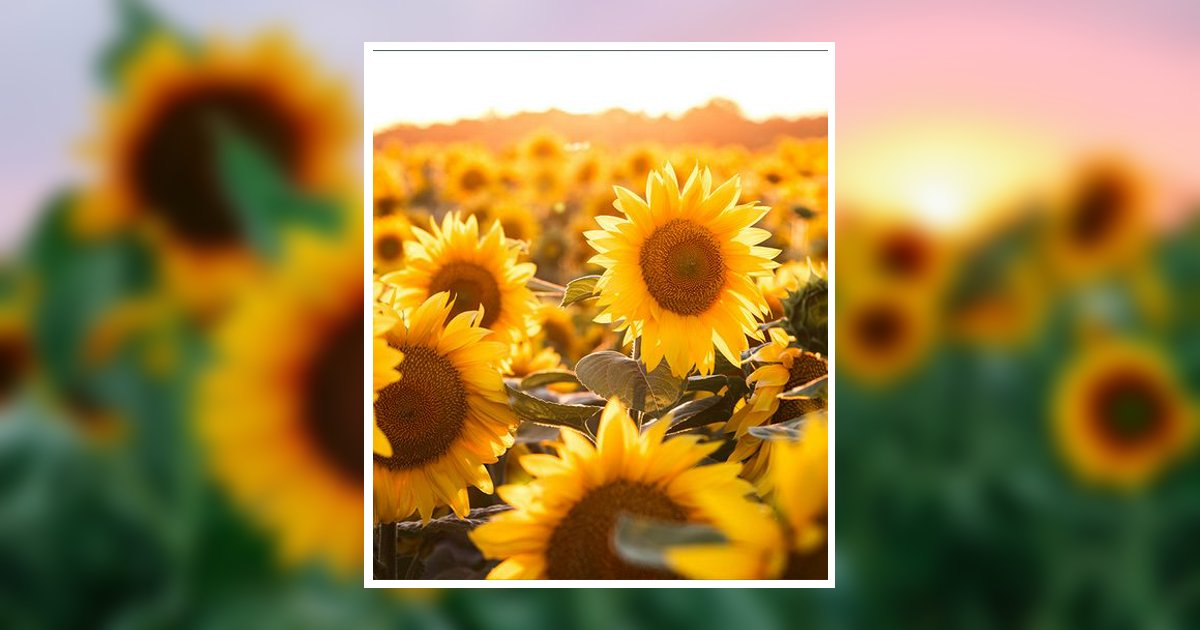 Jacqueline Anne LarrierSankey