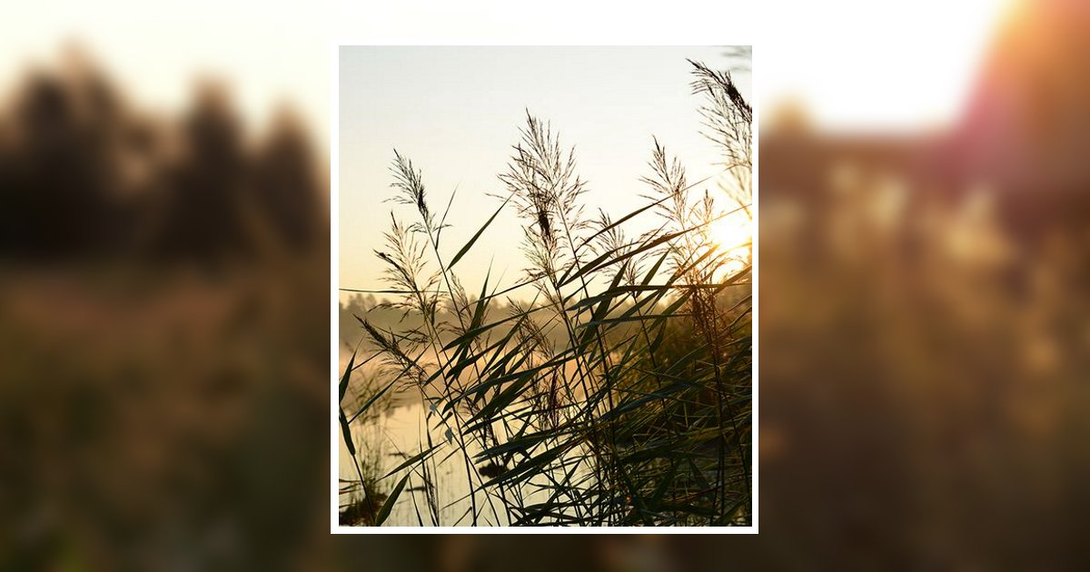 Picture Aubrey Jerry White Holly Pond, AL Obituary