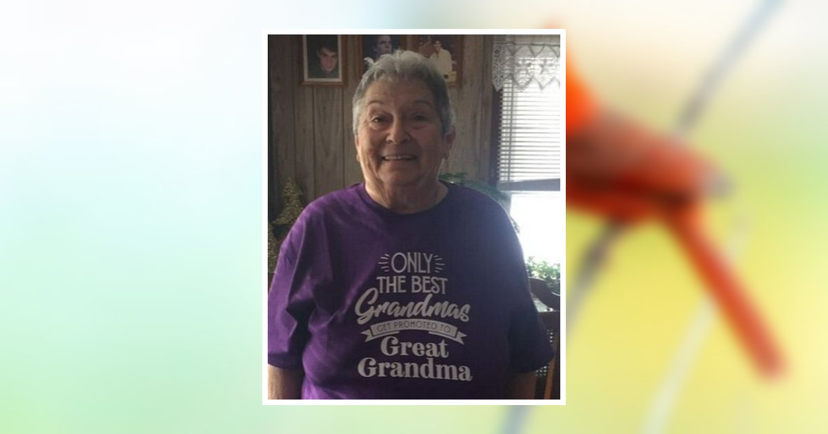 Elizabeth Rose Heckman Obituary, Akron, OH