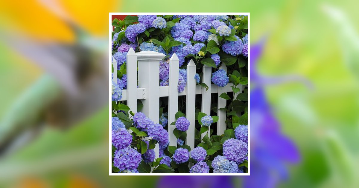 Mozelle Foster Blevins Obituary, Elkin, NC
