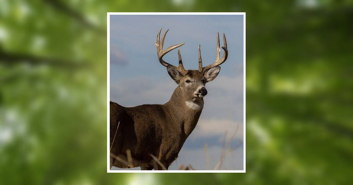 John Raymond Wheeler Obituary, Paris, TN